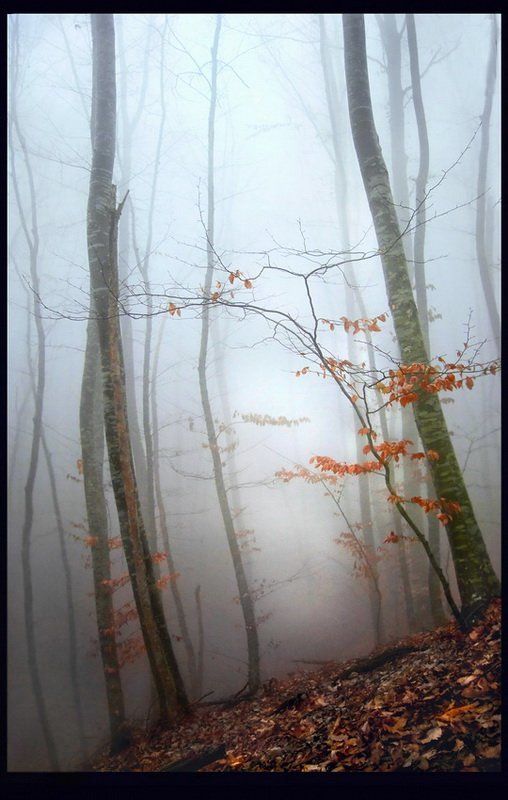 фото1 фото превью