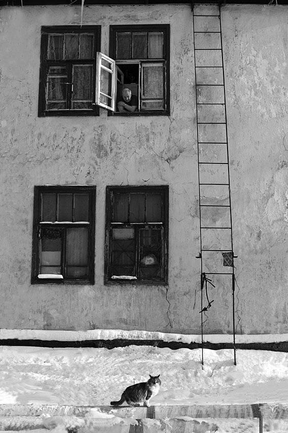 , Виталий Мазурин