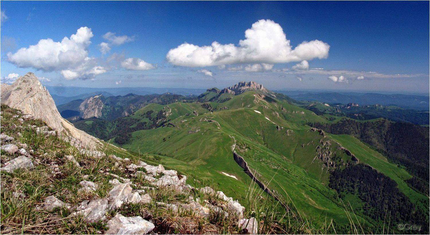 , Сергей Павлов