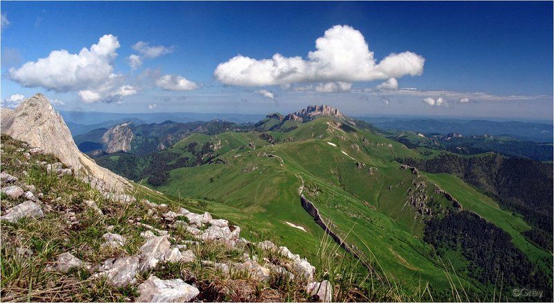 Будни Страны Эльфов фото превью