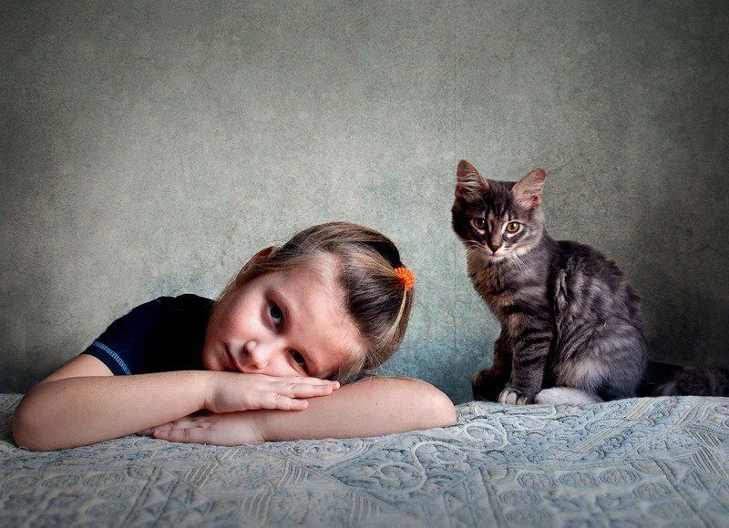 портрет ребенка и кота фото превью