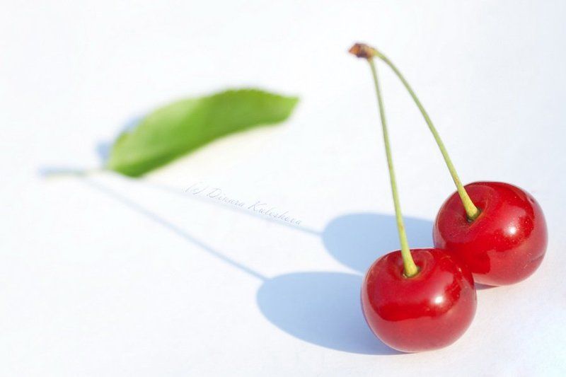 Вишневые грезы фото превью