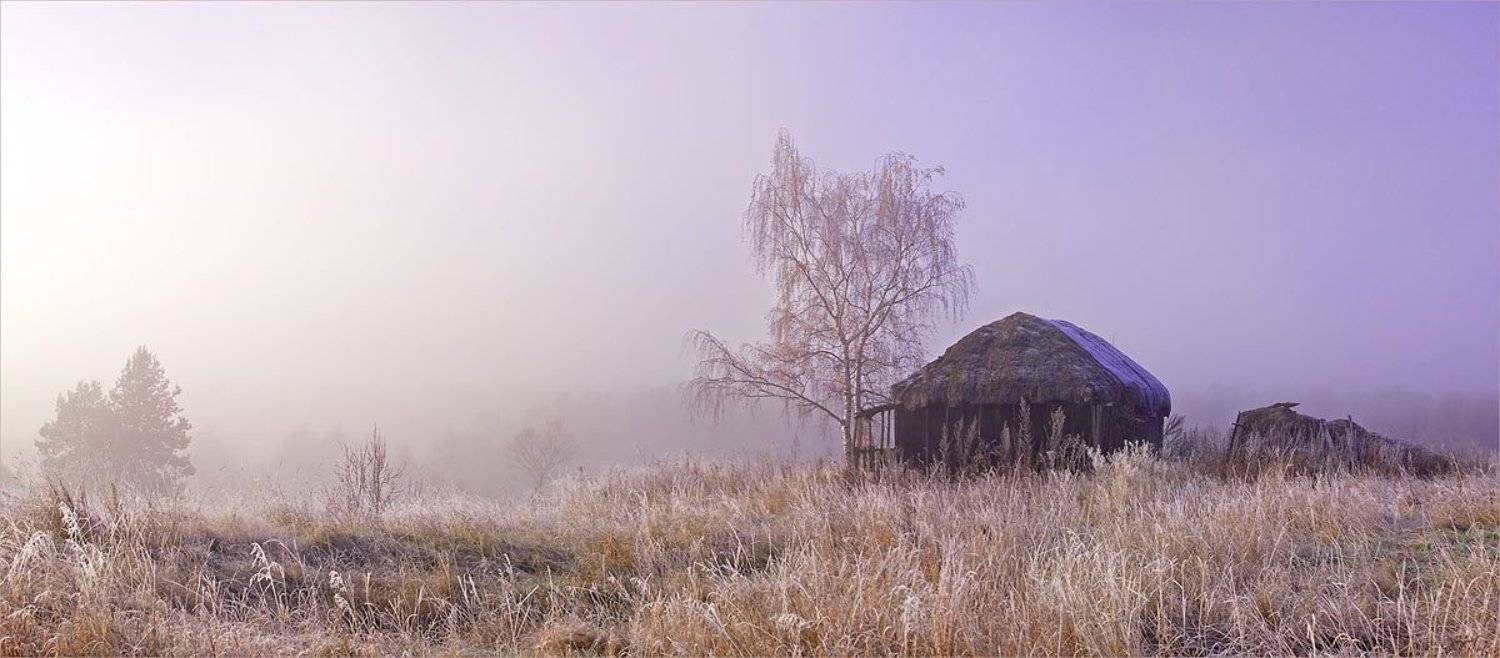 рассвет, туман, иней, safira
