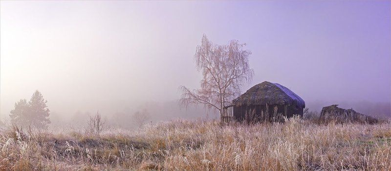 рассвет, туман, иней День и Ночь фото превью