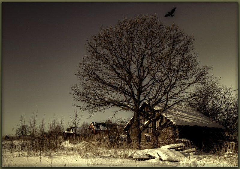 Деревенские истории (1) фото превью