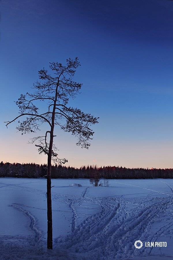 , Артём Саватеев