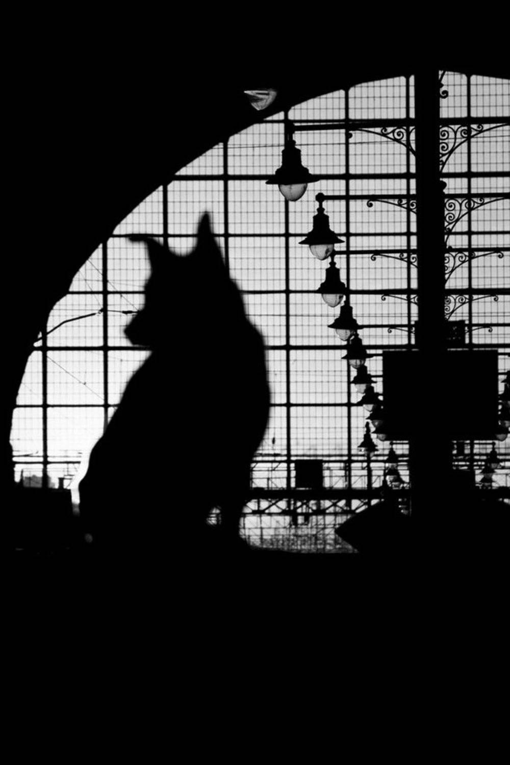 , Егор Кочуров