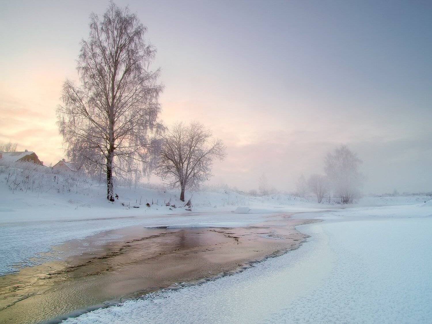 , Максим Евдокимов