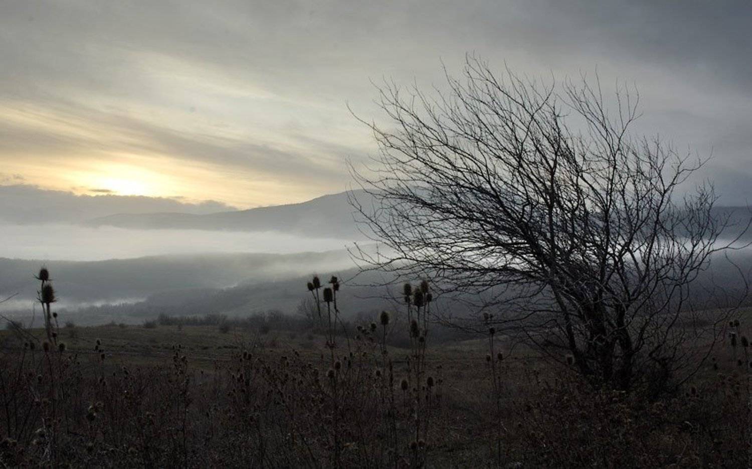 , Юрий Охлопков