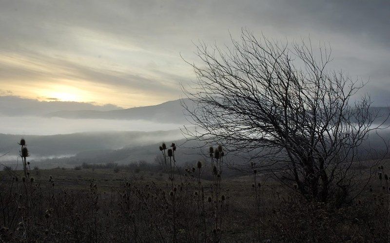 Бегут белесоватые туманы фото превью