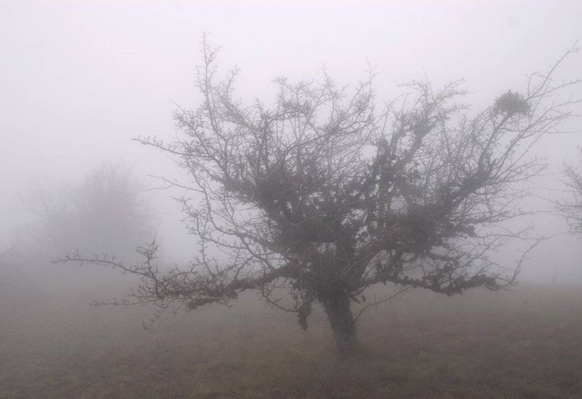 , Юрий Охлопков