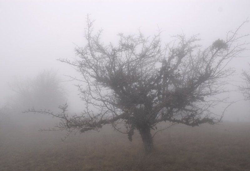 Крымская готика #2 фото превью