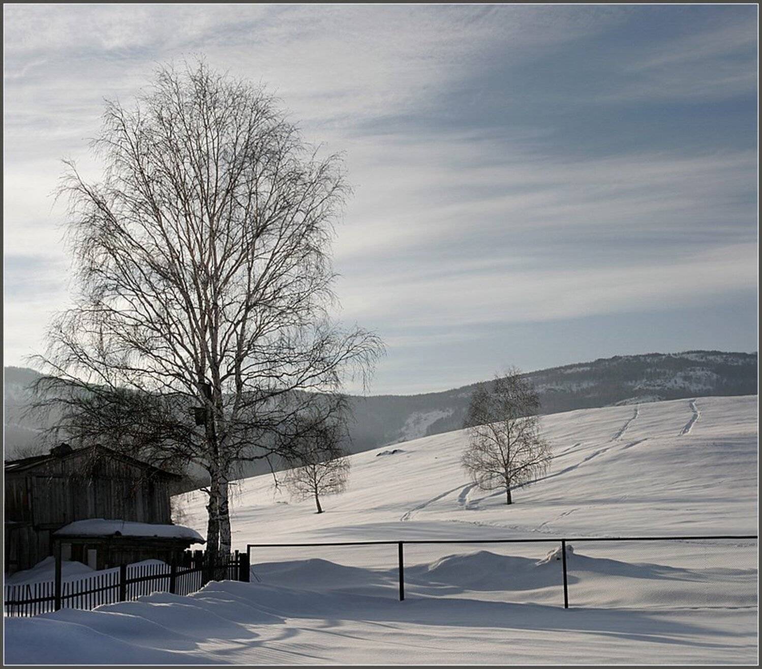 , Александр Киселев