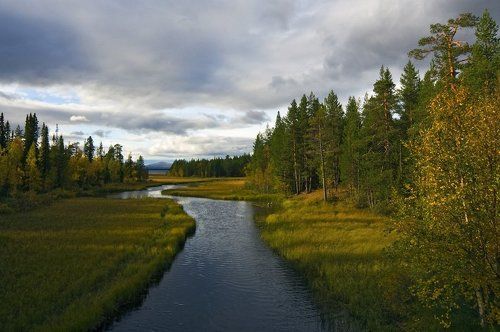 Верес-ручей....Осень