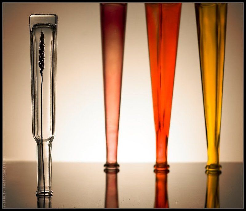 внешность,может,быть,обманчива,обманчивой,бутылки,колосок,натюрморт,владимр,шипулин, Внешность может быть обманчива. Главное то, что внутри... фото превью