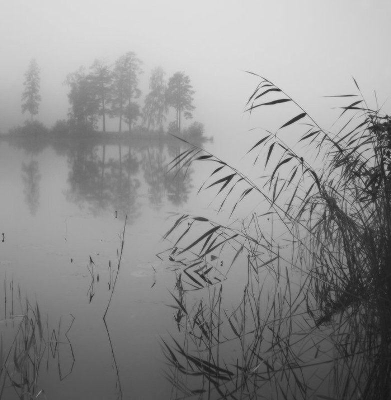 Зыбкая тишина фото превью