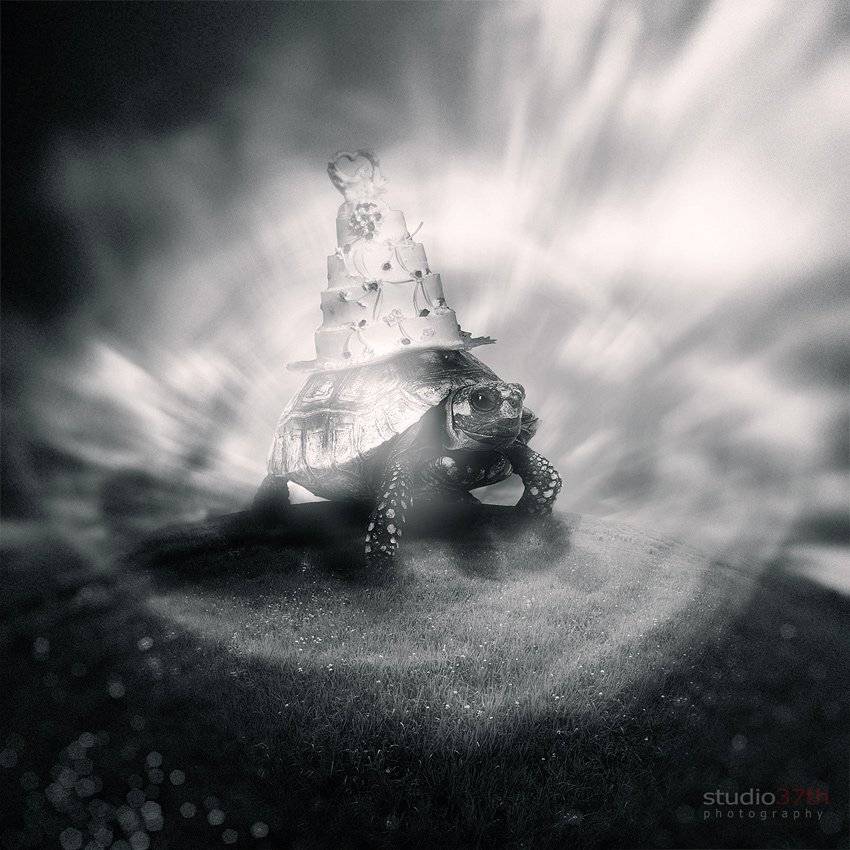 , Alexander Mikhailenko