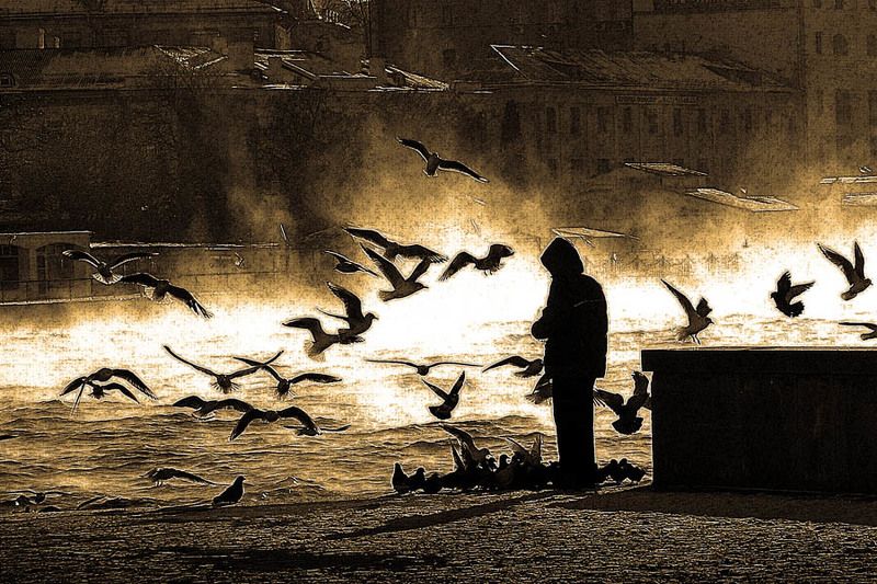 Мой Севастополь. АРТбухта. - 15 фото превью