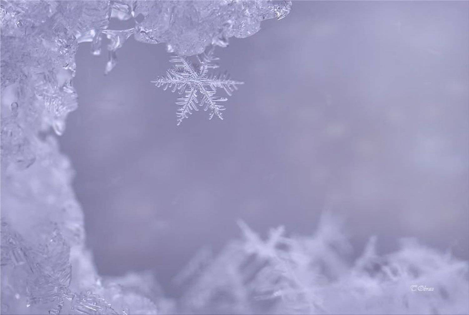 , Татьяна Образ