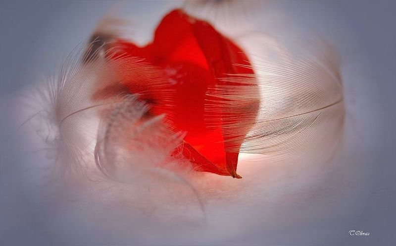 сбереги меня... фото превью