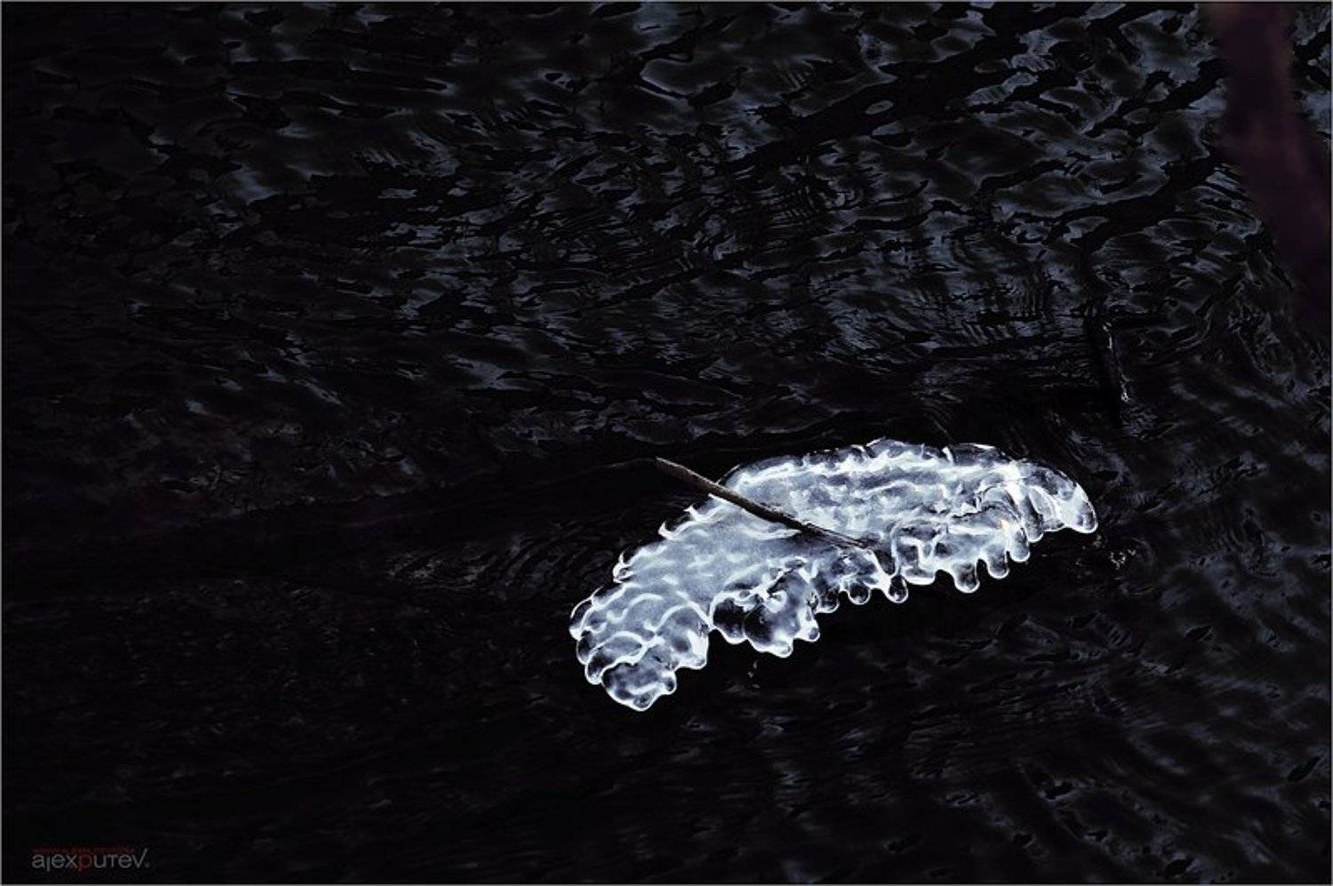 , Александр Путев