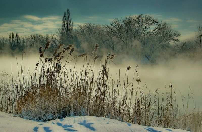 Утром на реке фото превью
