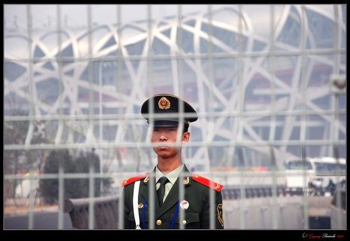 #...и мышь не проскочит! #