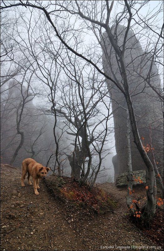 Про Кирюху фото превью