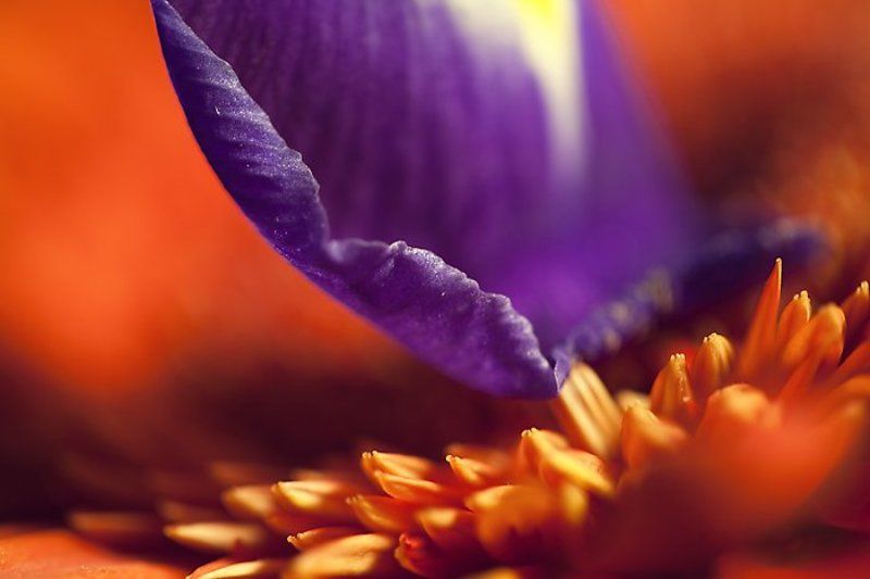 прикосновение фото превью