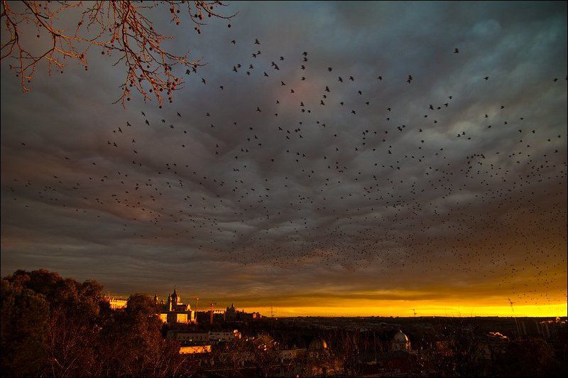 мадрид *** фото превью