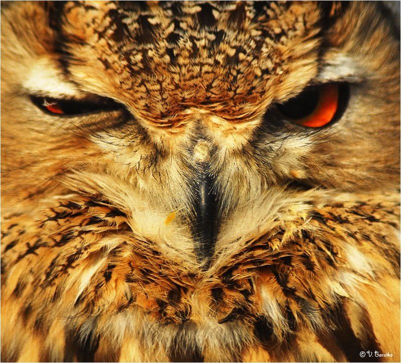 Тонкий намек фото превью