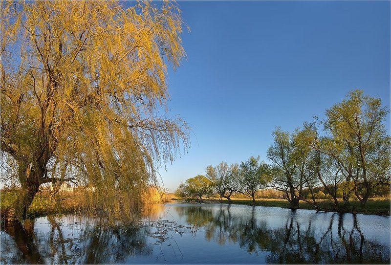 В лучах заката фото превью