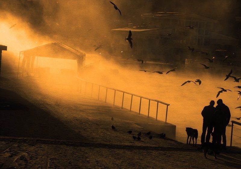 АРТбухта. Севастополь. ПАР. - 15 фото превью