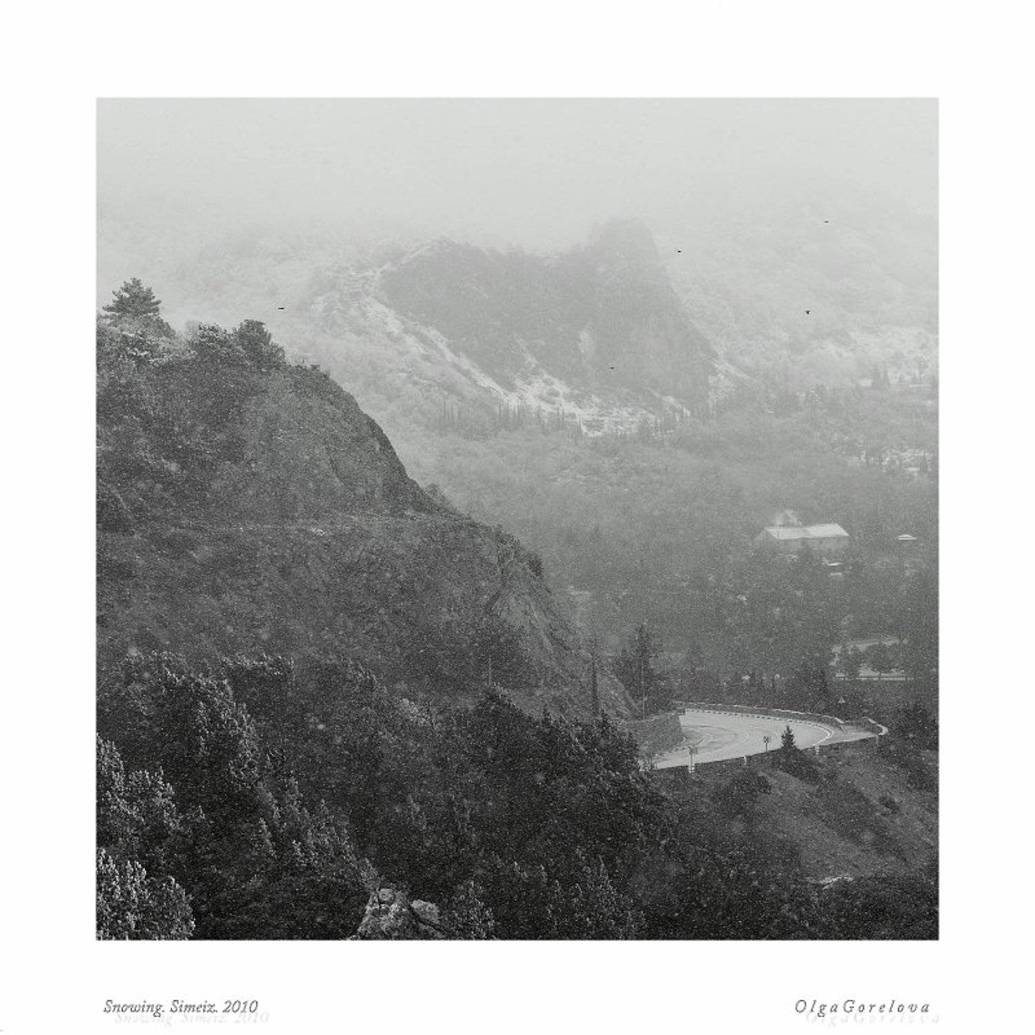 snowing, снег, симеиз, юбк, крым, Ольга Горелова