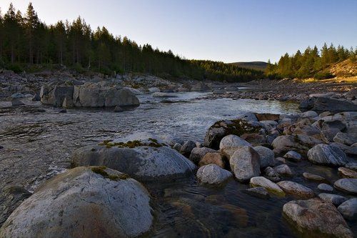 На старом русле р.Нива
