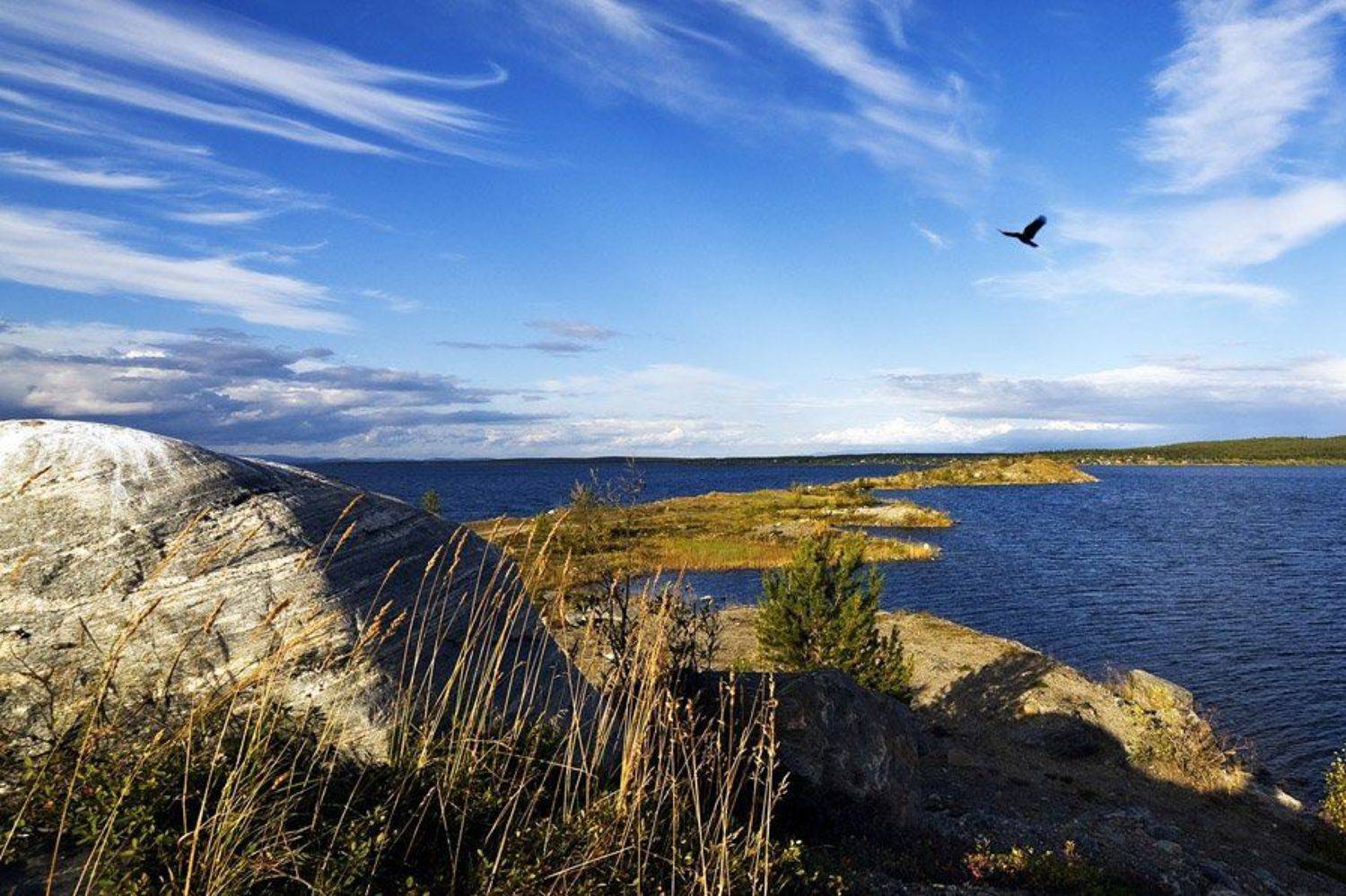природа,пейзаж,север,лето,озеро, Алексей Сафаров