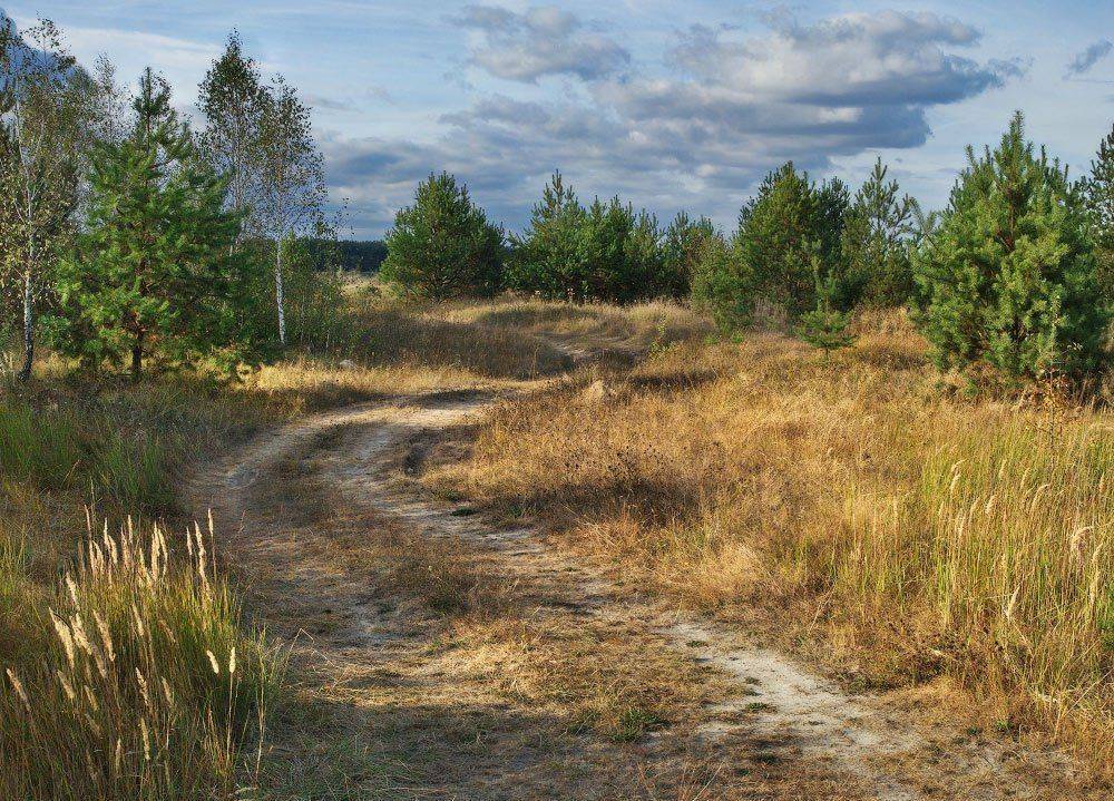 , Михаил Мочалов