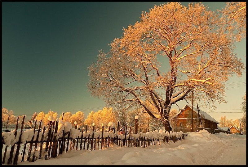 В лучах закатного солнца фото превью