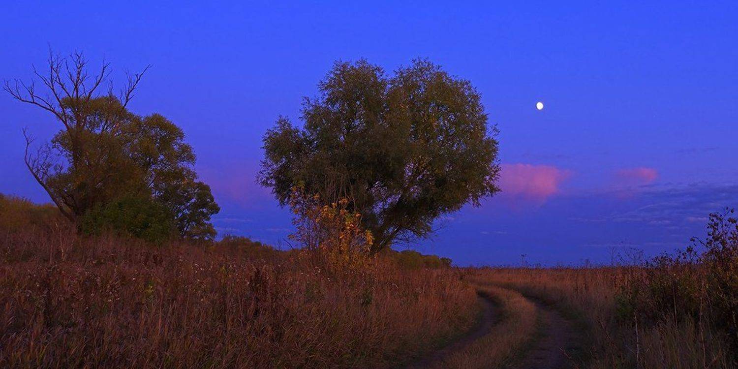 дон, закат, safira