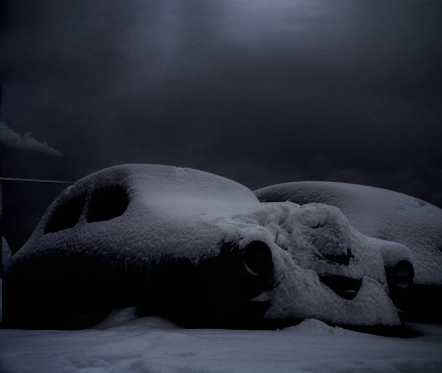 победа, ночь, снег, Boji