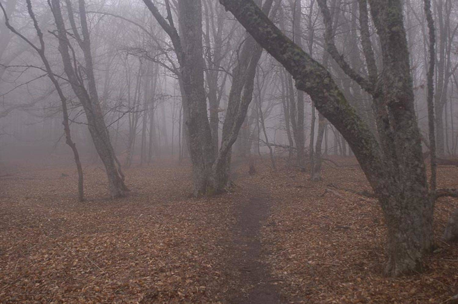 , Юрий Охлопков