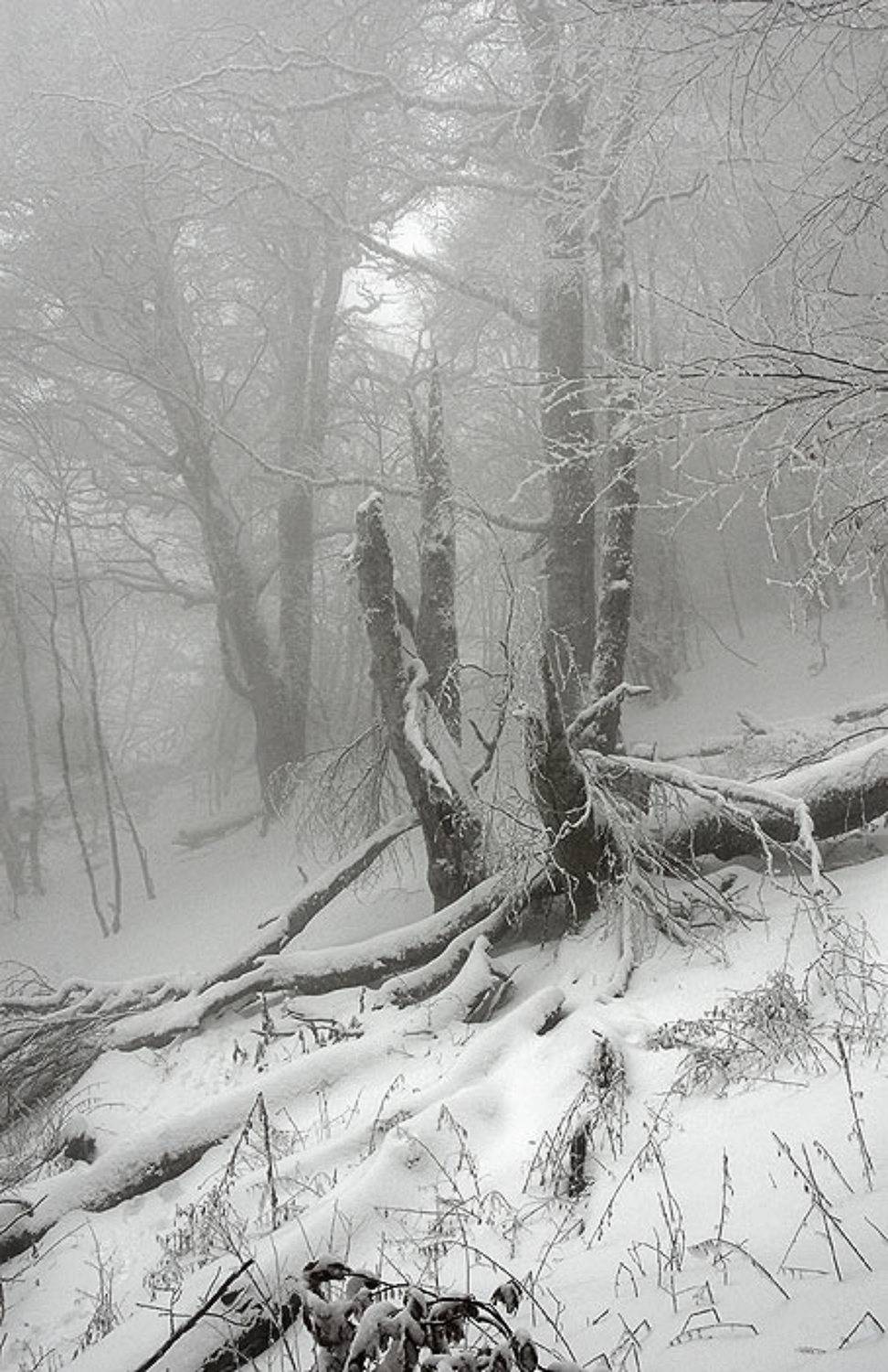 , Юрий Охлопков