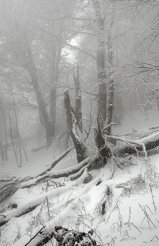 Снега фото превью