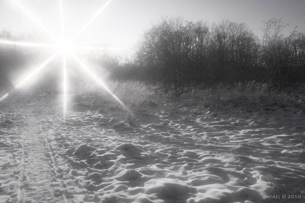 , Рафаэль Александрович Фоменко