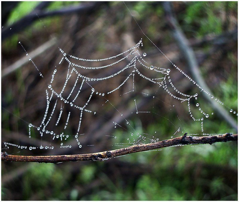 Бусинки фото превью