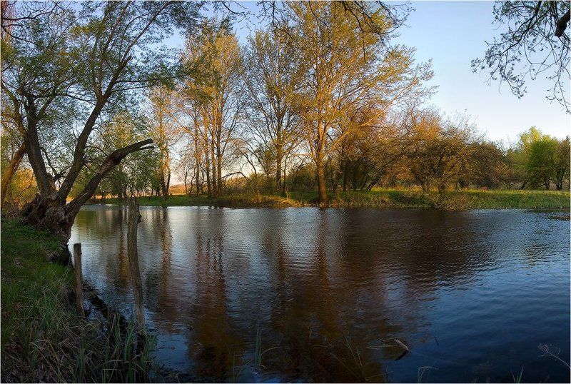 Ранней весной фото превью