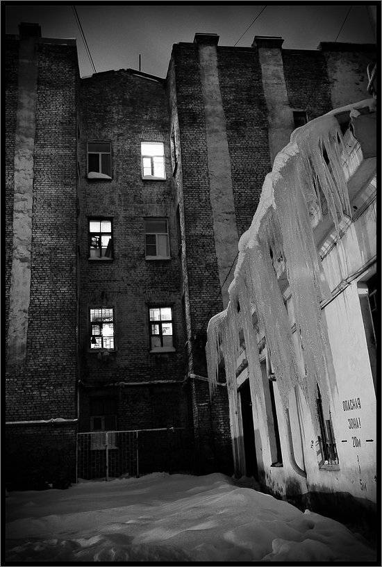 , Лунный Ежик