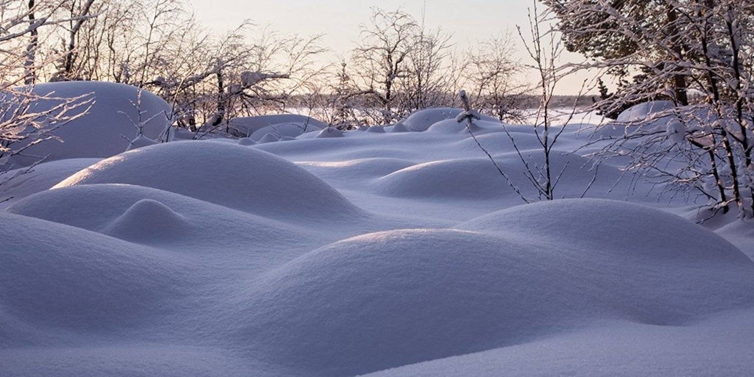 снег, зима, safira