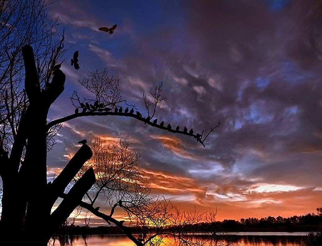 пейзаж, Tina Grach