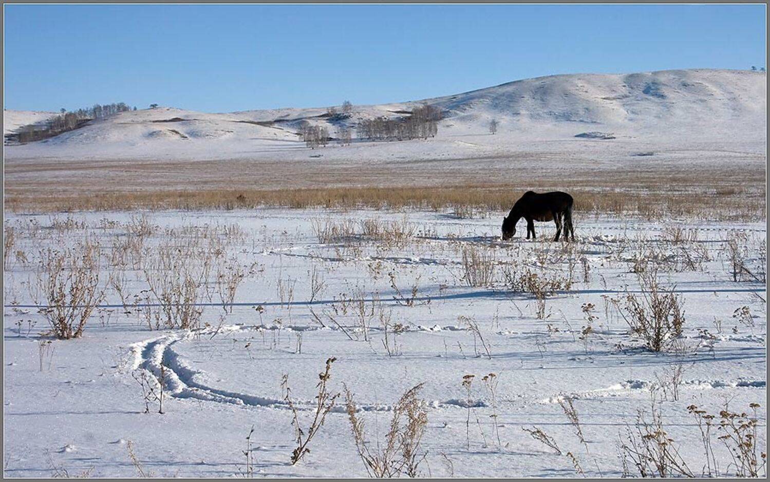 , Александр Киселев